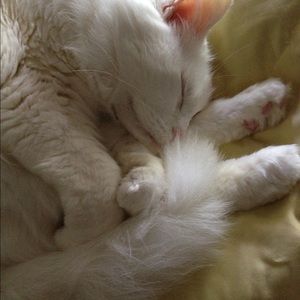 Meet your Posher, Regina